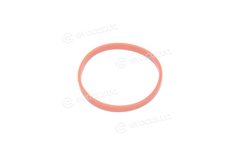 Elring 006.070