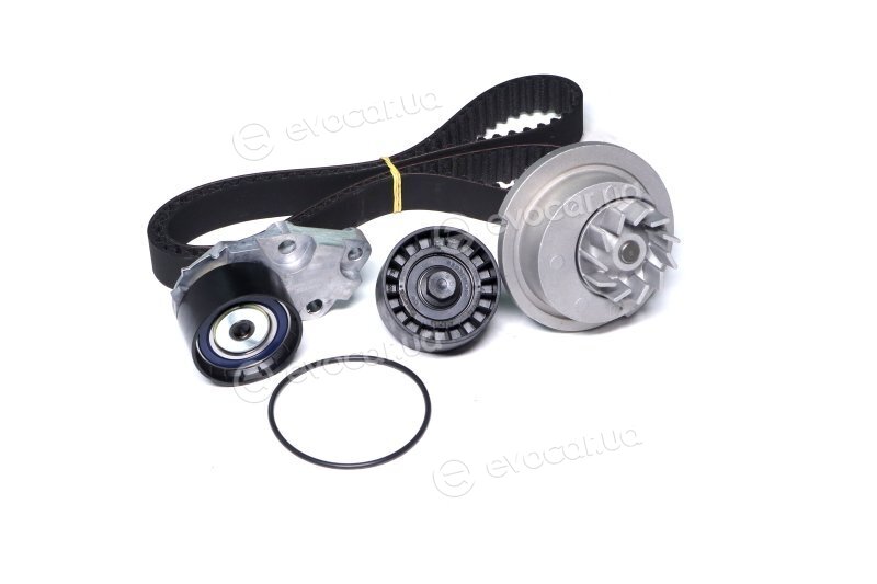 Dayco KTBWP5590
