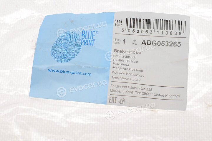 Blue Print ADG053265