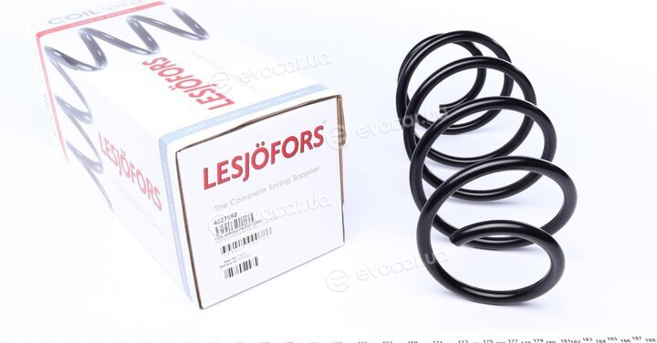 Lesjofors 4027592