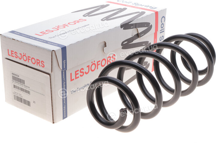 Lesjofors 4004254
