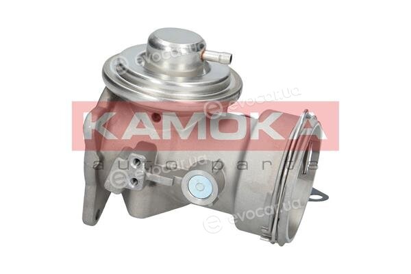 Kamoka 19035