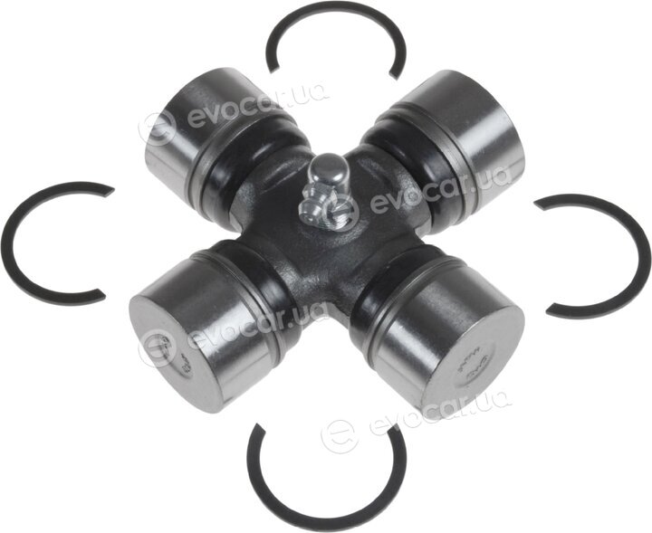 Blue Print ADG03905