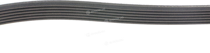 Dayco KPV829