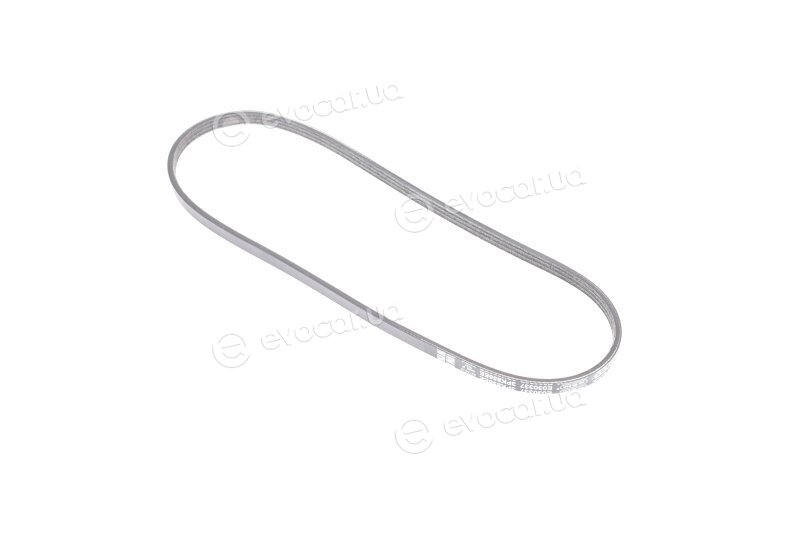 Dayco 3PK856EE