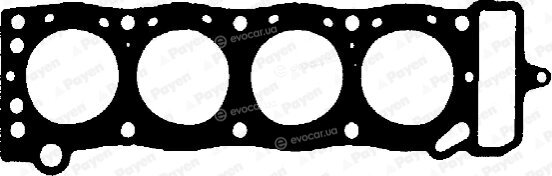 Payen BK700