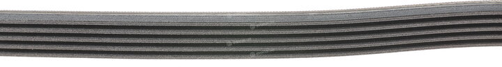 Continental 5PK1150