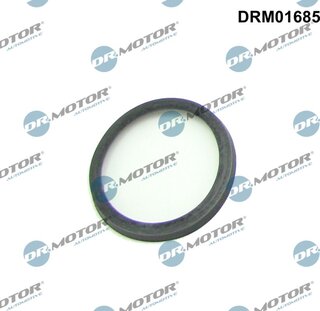 Dr. Motor DRM01685