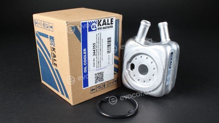 Kale 344355