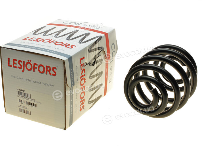 Lesjofors 4217701