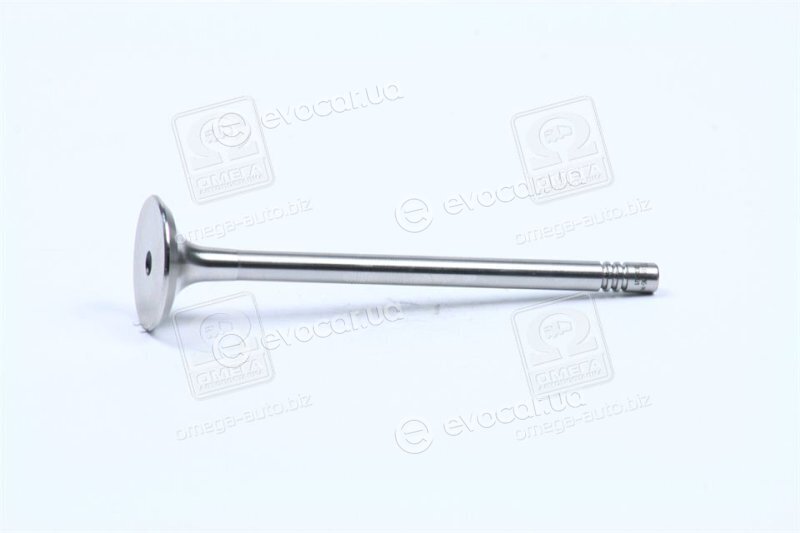 Mahle 029 VA 30529 100