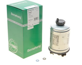 Borsehung B10471