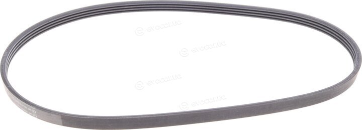 Continental 4PK916 ELAST