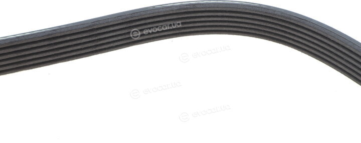 Dayco 6PK972