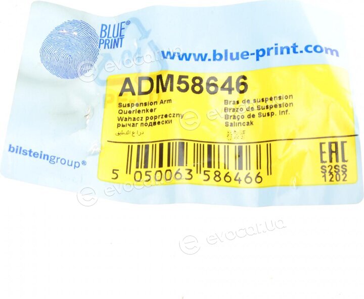 Blue Print ADM58646