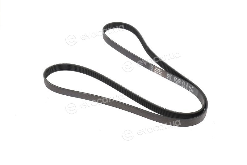 Gates 6PK1855