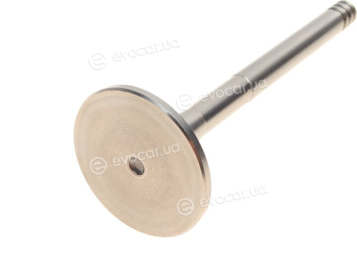 AMP PVWG066-A-0-N