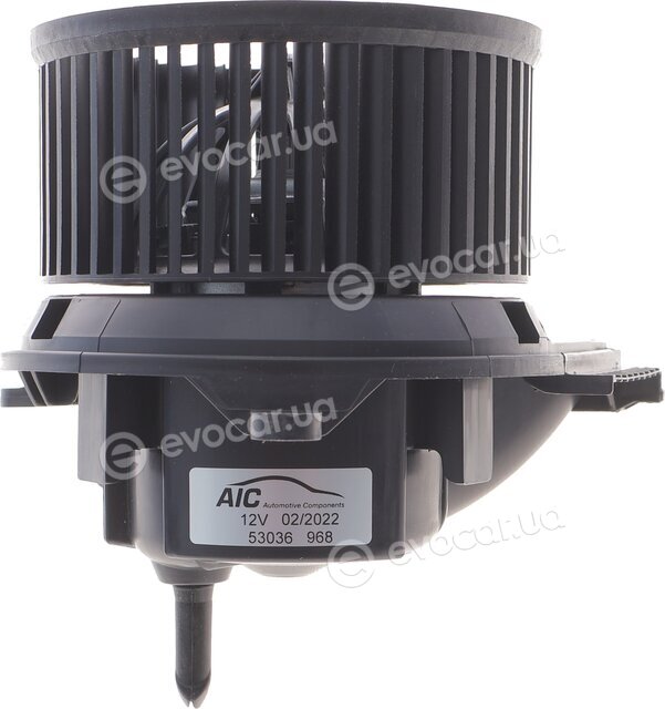 AIC 53036