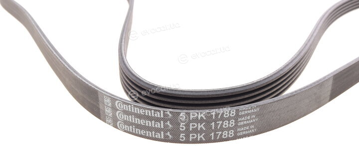 Continental 5PK1788