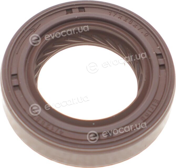 Elring 247.300