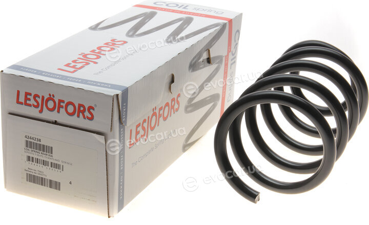 Lesjofors 4244238