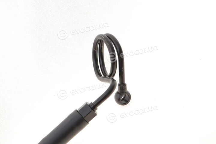 AIC 55527