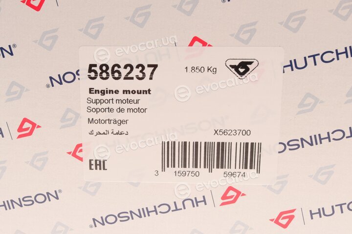 Hutchinson 586237