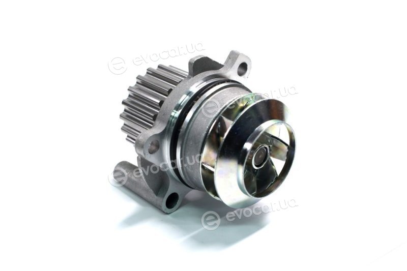 Metelli 24-1089