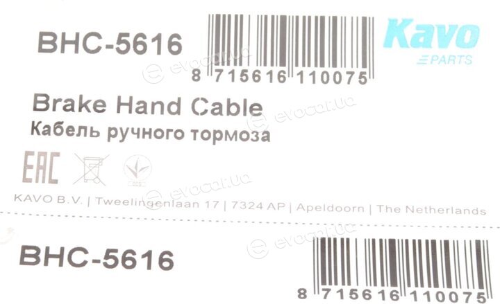 Kavo BHC-5616