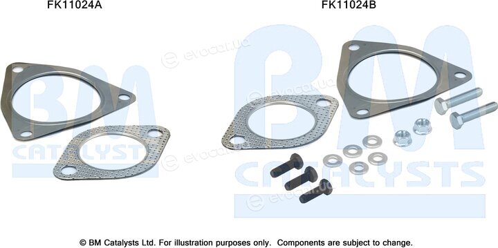 BM Catalysts FK11024