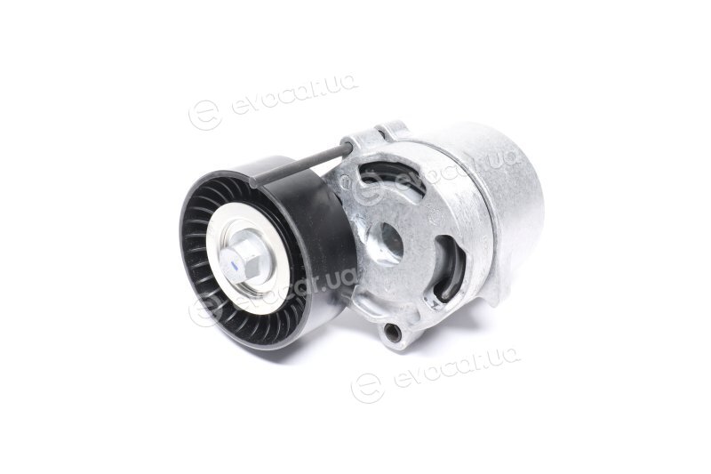 Dayco APV3181