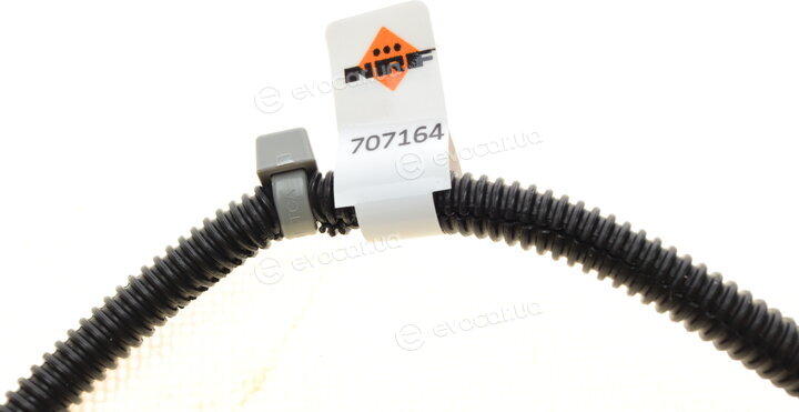 NRF 707164