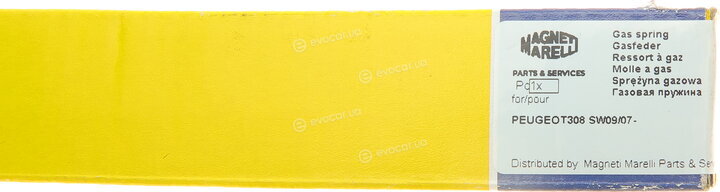 Magneti Marelli 430719072100