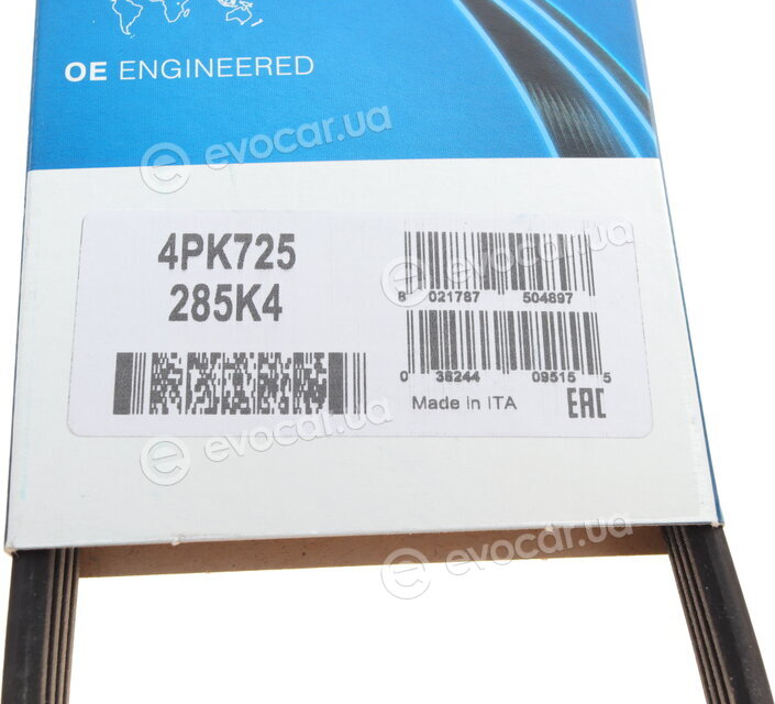 Dayco 4PK725