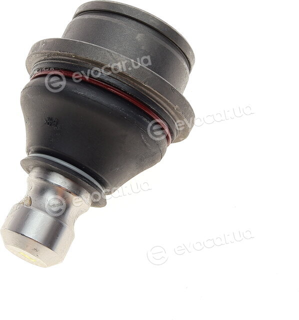 Solgy 203156