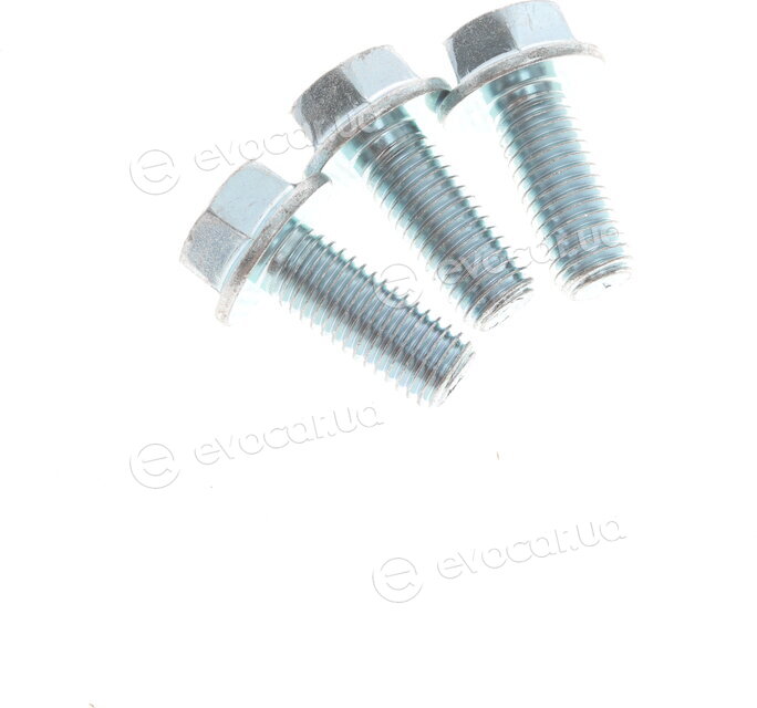 Solgy 203048