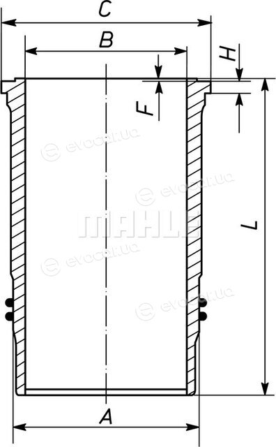 Mahle 592 WN 11 01