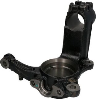 Reinhoch RH08-0019