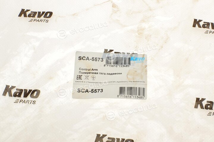 Kavo SCA-5573