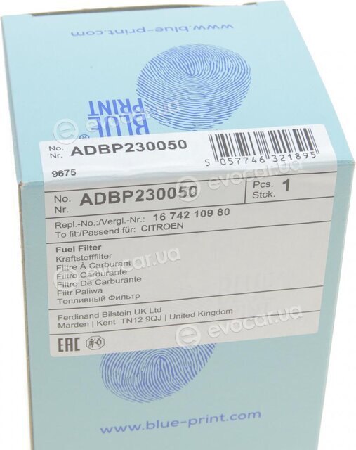 Blue Print ADBP230050