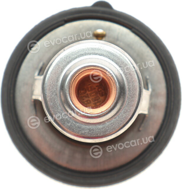 Motorad 532-82K