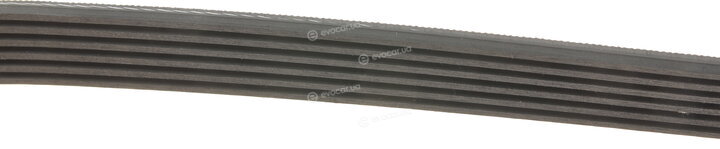 Gates 6PK1555