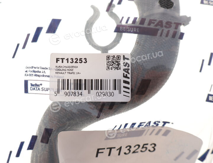 Fast FT13253