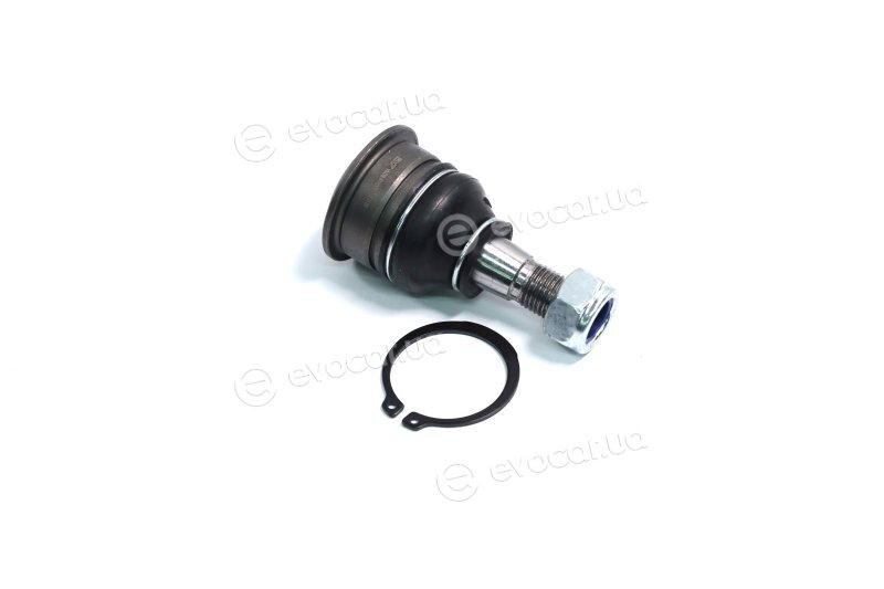 SKF VKDS 812005