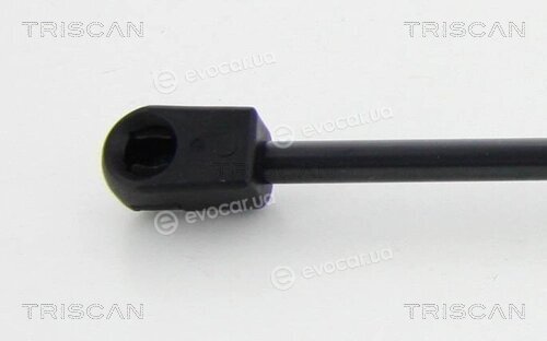 Triscan 8710 80213