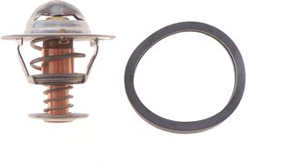 Motorad 242-82K