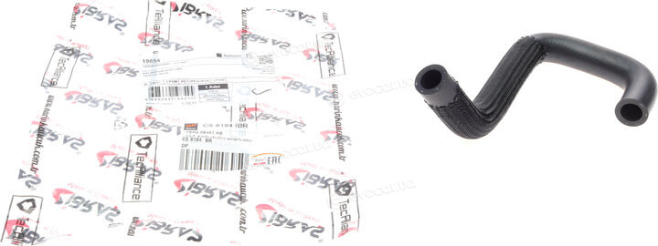 DP CS 8184 İBR