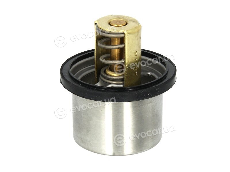 Wahler / BorgWarner 4619.82