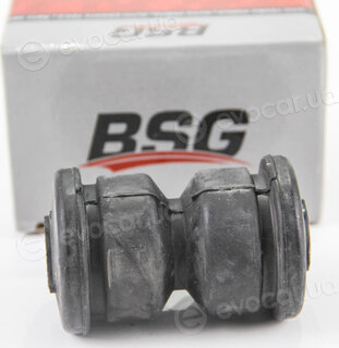 BSG BSG60700222