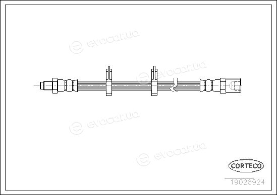 Corteco 19026924